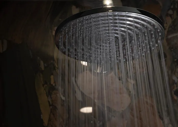 Des Carmes By Malone